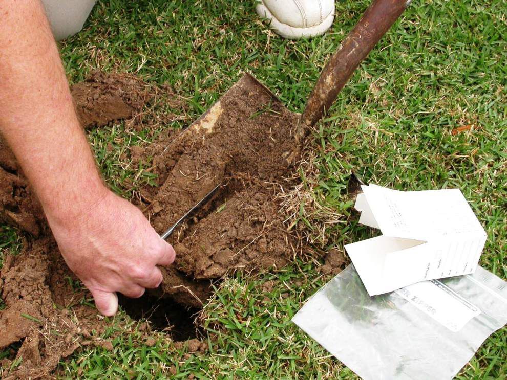 Soil testing can help determine what nutrients your soil needs